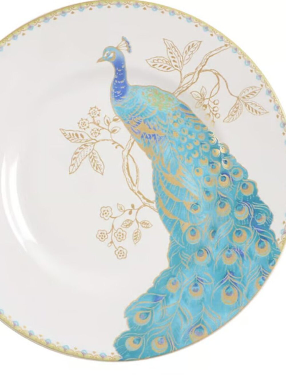 Peacock Garden Porcelain Salad Plate by 222 Fifth Set of 2